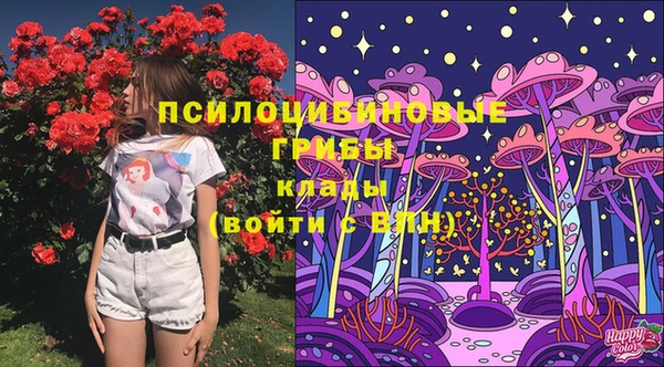 мяу мяу мука Магас