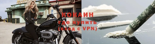 хмурый Лиски