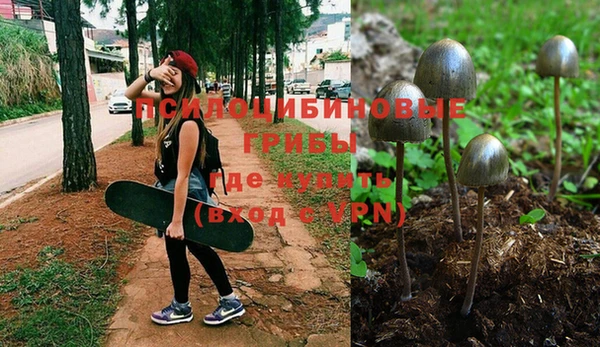 гидропоника Лихославль