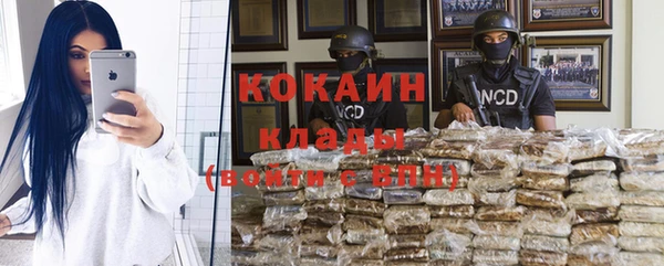 хмурый Лиски