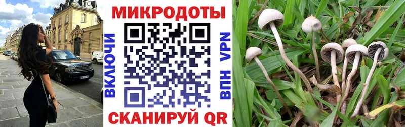 Купить где Каргат Псилоцибиновые грибы мухоморы